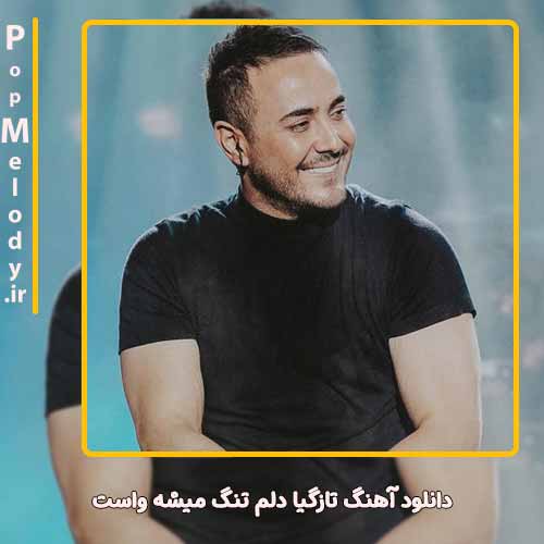 دانلود آهنگ ناصر زینعلی تازگیا دلم تنگ میشه واست